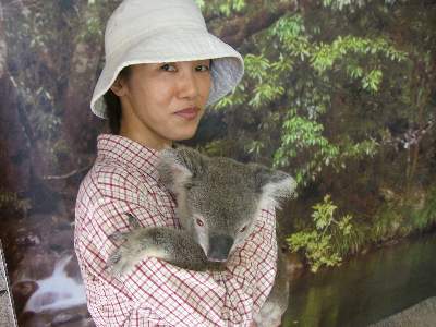 コアラを抱く妻