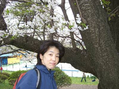 桜の木と妻