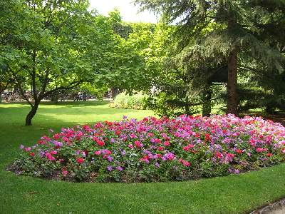 リュクサンブール公園の花壇