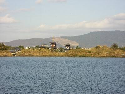 大池対岸から見た薬師寺