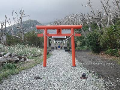 椎取 (しいとり) 神社の新しい鳥居と社殿
