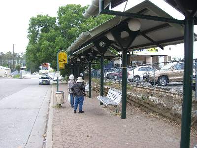 コアラパークへ行くバスが出ているバス乗場