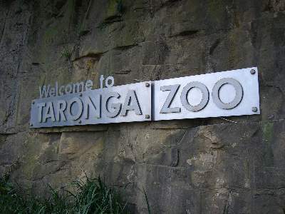 タロンガ動物園へようこそ