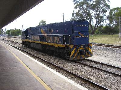 客車に連結される直前の Indian Pacific 号専用塗色の機関車